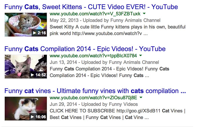 Keyword gatos