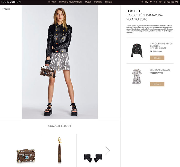 looks louis vuitton
